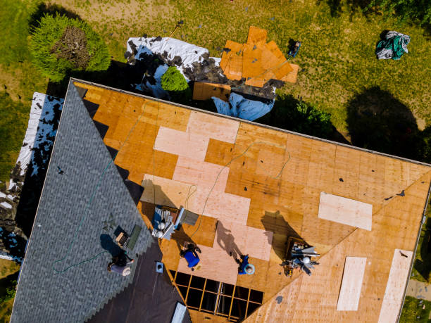 Best Roof Maintenance Services  in Traer, IA