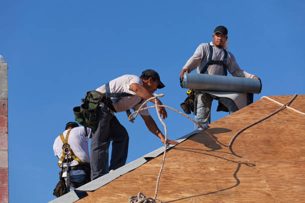 Best Roof Maintenance Services  in Traer, IA