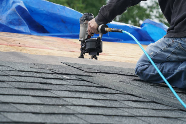 Best Storm Damage Roof Repair  in Traer, IA